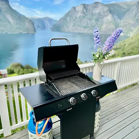 Aurlandsfjord Panorama Villa *