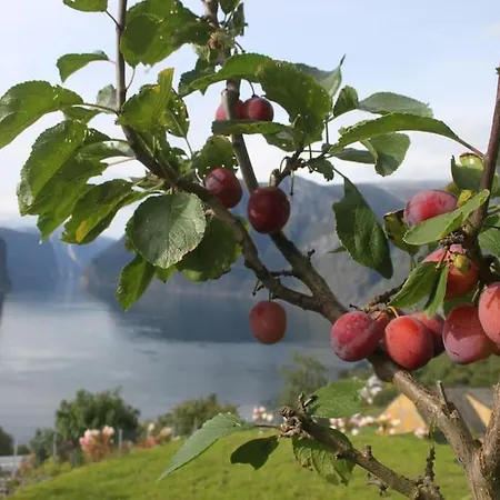 Aurlandsfjord Panorama فيلة *