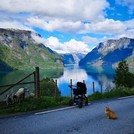 فيلة Aurlandsfjord Panorama أرلاند