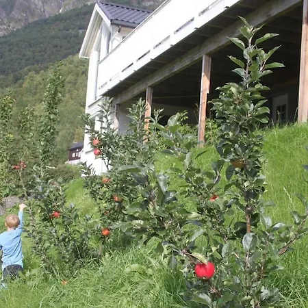 فيلة Aurlandsfjord Panorama