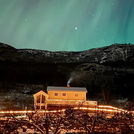 فيلة Aurlandsfjord Panorama *